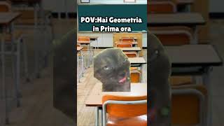 Geometria in Prima ora😵‍💫 scuola memes shorts trending [upl. by Eceertal]