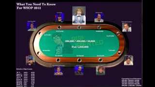 WSOP 2013 Final Table Analysis [upl. by Analah129]