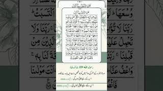 سورة البقرہ Sortul Baqarh quran islam sorts [upl. by Suhpesoj642]