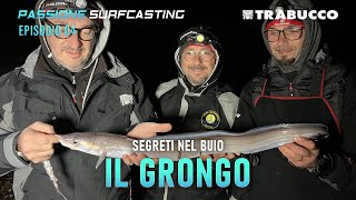 ALLA RICERCA DEL GRONGO PESCANDO IN NOTTURNA  Passione SURFCASTING S7E4 [upl. by Pippy]