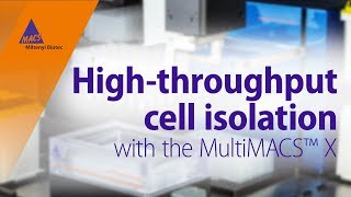 Automation meets cell separation Highthroughput cell isolation with the MultiMACS™ X [upl. by Yodlem]