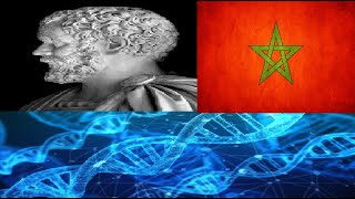 DNA autosomal test result North Africa – Morocco  Myheritage myfamilytree DNA [upl. by Renate]