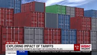 Exploring the impact of tariffs [upl. by Ellac332]