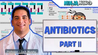 Antibiotics Folic Acid Pathway Inhibitors Part 2 [upl. by Reprah517]