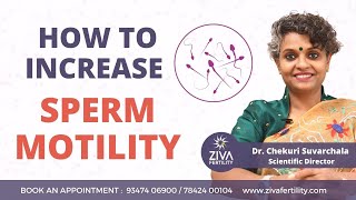 How to increase sperm motility  Male Infertility  Asthenozoospermia Dr Chekuri Suvarchala [upl. by Marven]