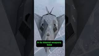 F117 Nighthawk The Stealth Fighters Mysterious History and Technology [upl. by Ashley720]