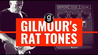 David Gilmours Rat tones  Overdrive distortion and fuzz in ONE pedal [upl. by Green]