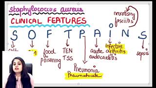 MICROBIOLOGY crash course PART4 [upl. by Filia]