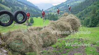 Wyssen Skymule Einsatz beim Wildheuen [upl. by Herman]