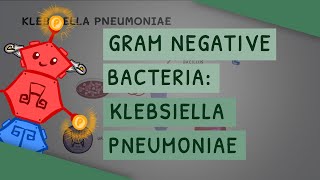 Gram Negative Bacteria Klebsiella pneumoniae [upl. by Orly714]