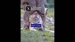 WOW🚀 66M Views  ELON MUSK Demolished Mark Cuban Political FaceOff  Battle of the Billionaires [upl. by Nnaacissej]