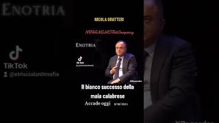 NICOLA GRATTERI  NDRANGHETA E COCAINA nicolagratteri coca ndrangheta [upl. by Hayarahs284]