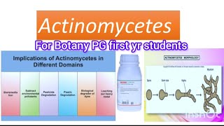 Actinomycetes For UG and PG Botany amp Microbiology students [upl. by Oneida]