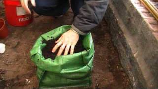 This Simple Method Will INCREASE your Potato Harvests [upl. by Rind]