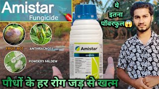 syngenta Amistar fungicideazoxystroxibin 23 schow to usepricetechnical namefungus diseases [upl. by Seligman905]