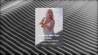 GATO 😻 LATIN TECH HOUSE REMIX J Balvin Bad Gyal [upl. by Yenruogis190]