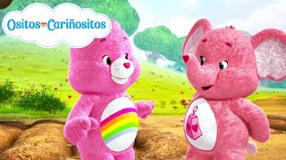 Ositos Cariñositos  Aprendiendo con Alegrosita y Elefante Corazón Gigante [upl. by Lodie411]