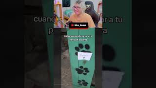 el timbre de mi perrito parati edits raccion memes funny mexico paratii s shorts [upl. by Reniti]