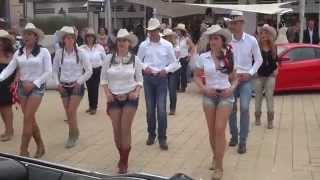 Country Music Dance Line  Summer Show [upl. by Nnaeirb]