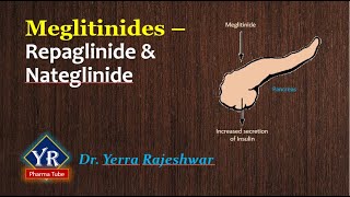 Meglitinides  Repaglinide amp Nateglinide  Meglitinides  YR Pharma Tube  Dr Yerra Rajeshwar [upl. by Sel67]