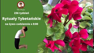 🧘Rytuały Tybetańskie – tydzień 236 dzień 5 [upl. by Houston]