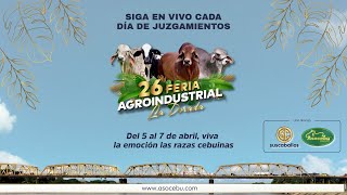 XXVl FERIA AGROINDUSTRIAL GANADERA LA DORADA [upl. by Fairlie182]