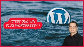 Cest quoi un slug wordpress Et comment les utiliser [upl. by Doykos165]