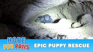 Epic puppy rescue  18 feet into the earth Dangerous Hope For Paws rescue puppy [upl. by Eneliak]