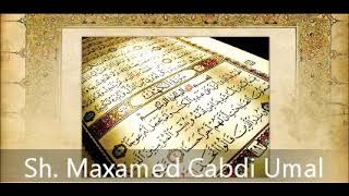 Tafsiir Surah 99 AzZalzalah ۞ Sh Maxamed Cabdi Umal [upl. by Ibloc]