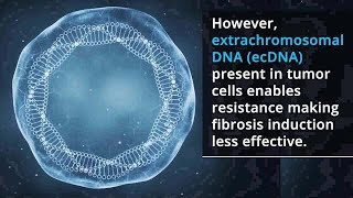 Nanoparticles Clear EcDNA to Boost Tumor Fibrosis and Enhance Cancer Therapy [upl. by Fabiano]