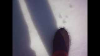 Sound of treading in fresh snow  Pleural friction rub [upl. by Lindy]