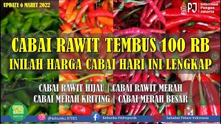 CABAI RAWIT TEMBUS 100 RB⁉️HARGA CABAI TERUS NAIK MENJELANG PUASA ⁉️ UPDATE HARGA CABAI HARI INI [upl. by Cenac]