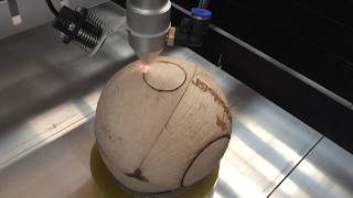 Young Coconut Laser Cutting Machine [upl. by Livi800]