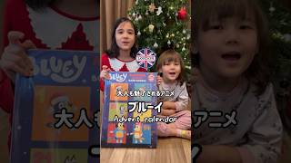 Opening Bluey book advent calendar全開封 大人気ブルーイ本アドベントカレンダー ブルーイ bluey [upl. by Molahs]