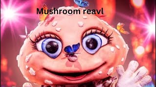 Mushroom reavl [upl. by Ahseia]