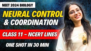 Neural Control amp Coordination One Shot in 30 Mins🔥 Class 11 Biology  NEET 2024  Ekta Soni [upl. by Bobker]