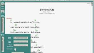 EasyLyrics  Vorhandenen Songtext drucken [upl. by Lytsirk]