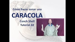 🐚Cómo hacer sonar una CARACOLATutorial 02  Bucio  Pututo How to Play a Conch Shell [upl. by Inessa]