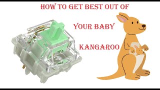 Gateron Baby KAngaroos sound test on a Top mount Mechanical Keyboard [upl. by Ardekal103]