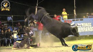 NI UNA QUEDA PUDIERON HACER RANCHO SAN PEDRO DE OLINALA GRO EN TECOJCOYUNCA GRO [upl. by Rybma]