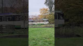 shorts tram Düwag 631 vertrekt van halte Erven in het Openluchtmuseum [upl. by Nickolas667]