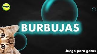 Juego para gatos  burbujas [upl. by Ninazan]