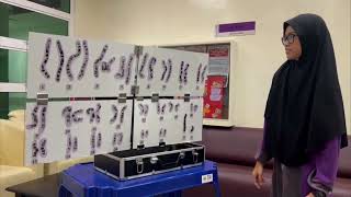 Portable Cytogenetics Karyotyping Learning Kit and teaching AidC [upl. by Oirom]