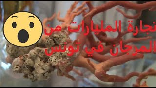 مليارات المرجانتجارة المرجان في تونس وكل خفايا هذا العالم ما لم يقل [upl. by Sapphera]