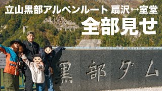 関節リウマチ 2024年 立山黒部アルペンルート扇沢→室堂の踏破に挑戦！【黒部ダム】【実嫁】 [upl. by Pavla642]