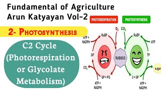 Photosynthesis  C2 Cycle or Photorespiration or Glycolate Metabolism Arun Katyayan Vol2 [upl. by Dohsar]