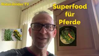 Superfood für Pferde Fütterung Fellwechsel An weiden Stoffwechsel lecker Futter Selbstgemischt [upl. by Goeselt449]