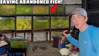 I Saved Fish From an ABANDONED House [upl. by Sido]