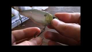 Spro aruku shad review [upl. by Corrinne861]