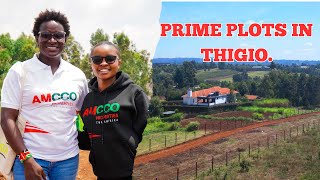 PRIME PLOTS IN THIGIO [upl. by Helsie250]